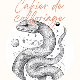 Cahier de coloriage méditatif (pdf 25 pages)