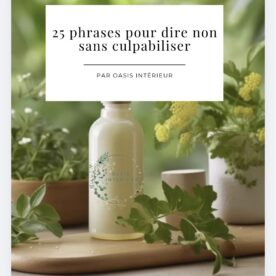 📚 E-book Gratuit : 25 phrases pour dire non sans culpabiliser